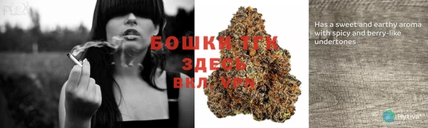 молекула духа Горно-Алтайск