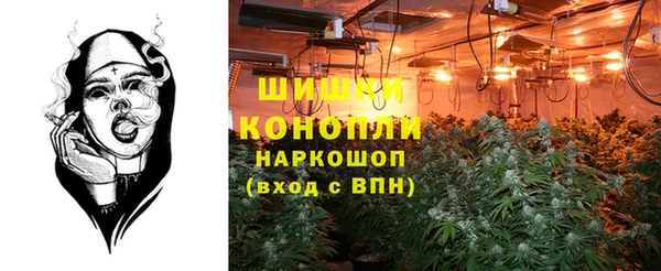 молекула духа Горно-Алтайск
