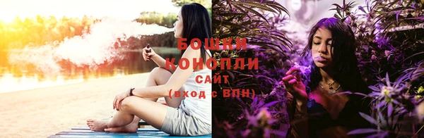 молекула духа Горно-Алтайск