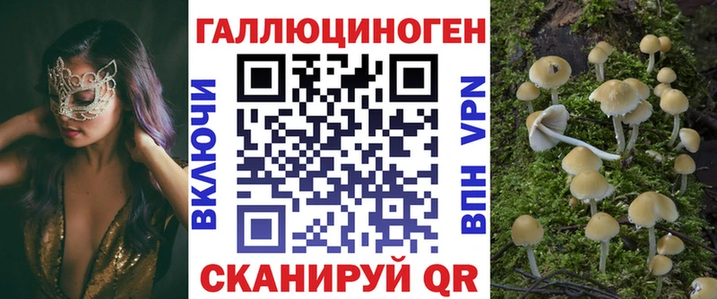 Галлюциногенные грибы Magic Shrooms  Купить где  Нефтекумск 